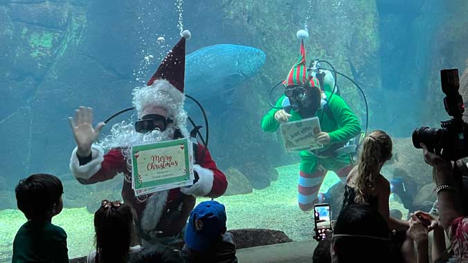 diving Santa and elf in aquarium tank