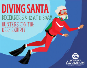 Diving Santa to appear at Waikiki Aquarium on December 5 and 12 at 11:30 a.m.