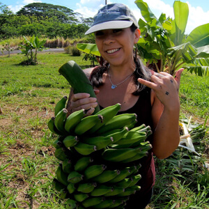 Hawaiʻi CC feeds hungry families, grows future farmers