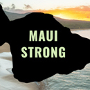 Hawaiʻi Keiki’s Maui providers honored for wildfire response