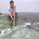 UH Hilo professor pioneers new era in sustainable fish farming