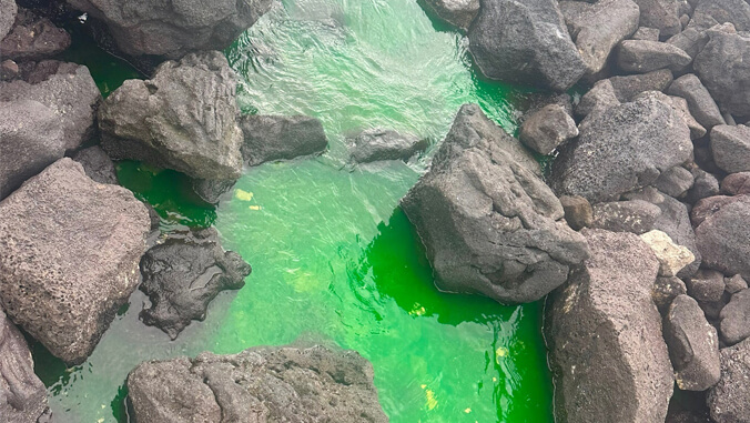 Dyed water flowing between rocks