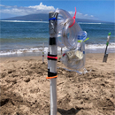 Coastal water quality rebounding after Lahaina wildfire