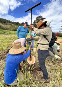 digging into soil