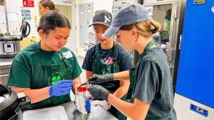 students measuring ingredients