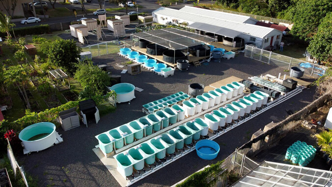 aerial view of aquaculture center