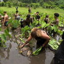 New UH Mānoa student-athletes start strong, support community