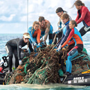 Marine debris removal benefits Hawaiian monk seals, ecosystems