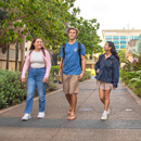 Education, physical sciences, more earn top rankings for UH Mānoa