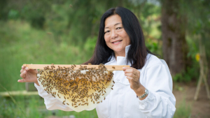 Tsutsumi holding honeycomb covered in bees