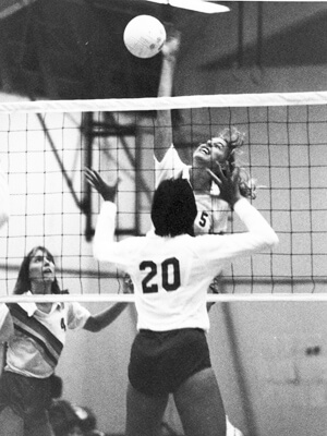 people playing volleyball