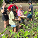 Indigenous educators engage in ʻāina, ʻike at UH Mānoa