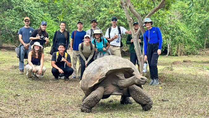 people standing behind a large tortoise