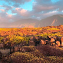 UH researchers help protect 5 Hawaiʻi national parks