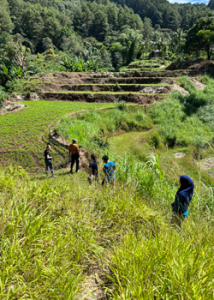 indonesia