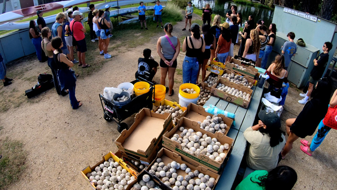 people standing near large boxes of genki balls