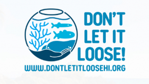 logo for an awareness campaign