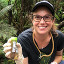 UH Hilo biologist part of $2M invasive species research