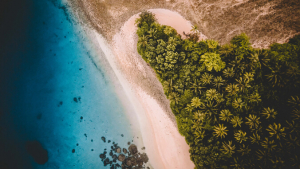 high aerial view of a shoreline