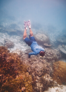 person diving in the water