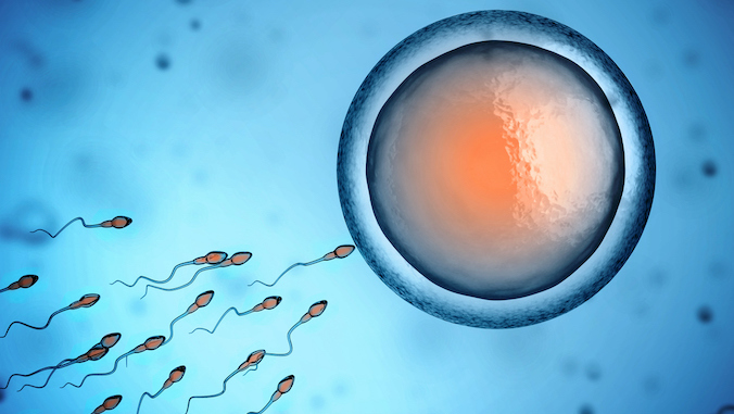 human sperm and egg cell 3d illustration