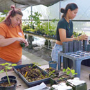 25 years of conservation education at Hawaiʻi CC