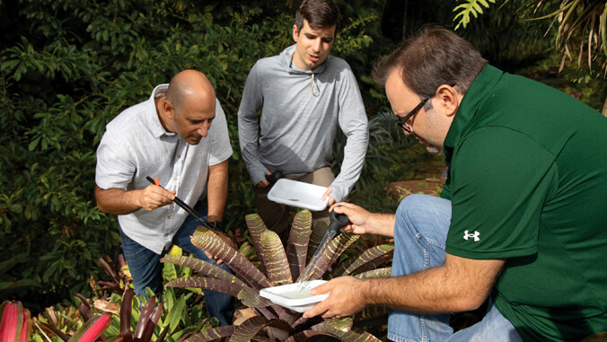 Researchers working with a plant