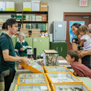 From cricket cookies to carnivorous caterpillars: UH museum celebrates Darwin Day