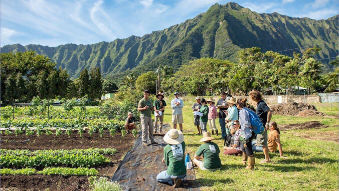 people in farm field