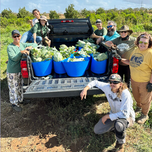 Growing Hawaiʻi’s future: UH program brings modern business skills to local farmers