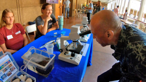 person looking through a microscope