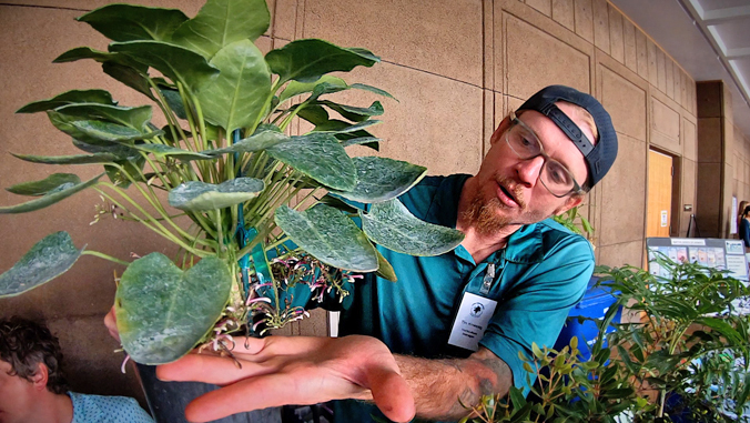 person holding a green plant