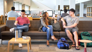 students sitting in the library