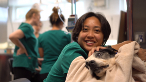 Vet tech holding a zooted dog