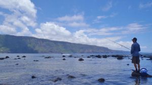 person fishing on the shoreline