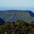 Protecting Kauaʻi forests from invasive species saves large amounts of groundwater