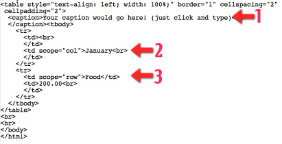 image to show how to type in the HTML code for captions and scope tags
