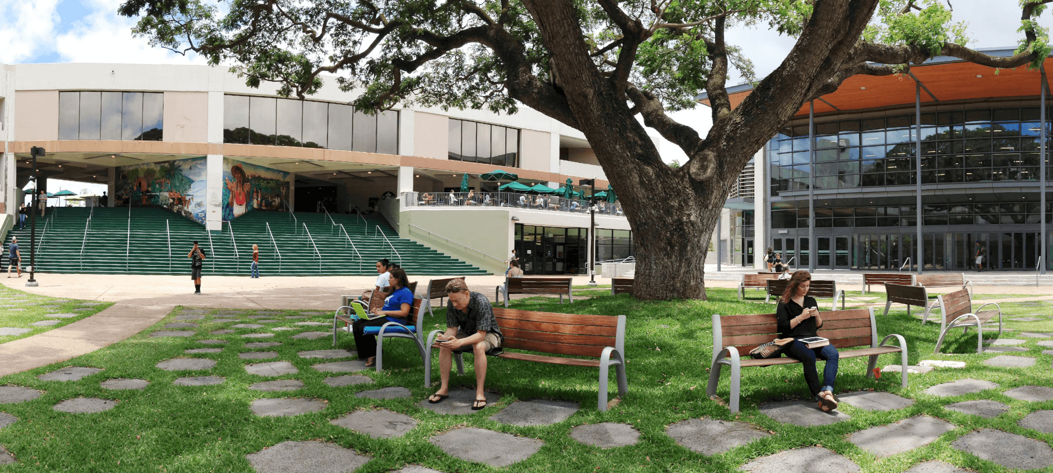 Manoa Campus Center mall with huge tree